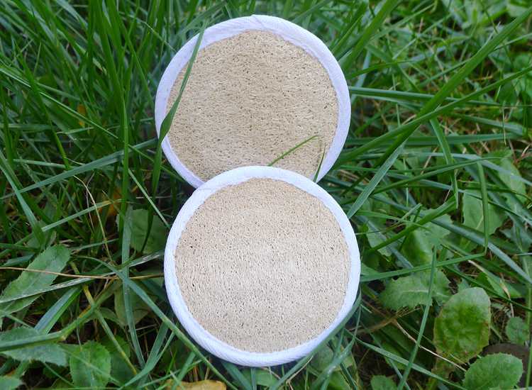 Natural Loofah Exfoliating Pad